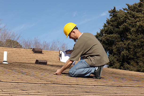 Best Solar Panel Roofing Installation  in Freeport, TX